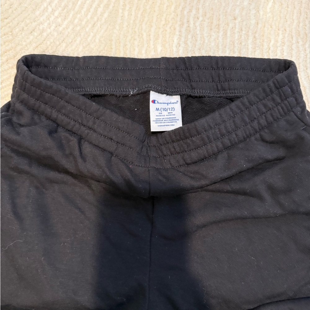 Champion sweatpants